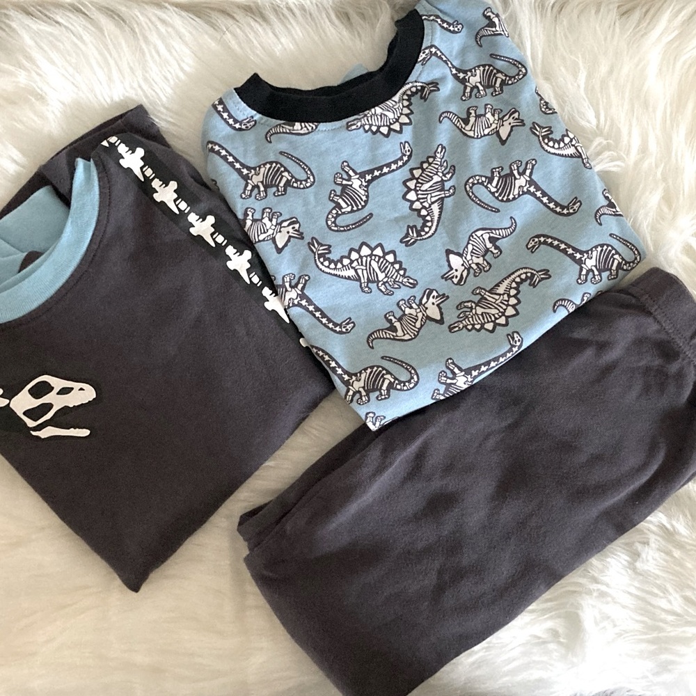 Dinosaur Long Sleeve Boys Pajama Set Size 5